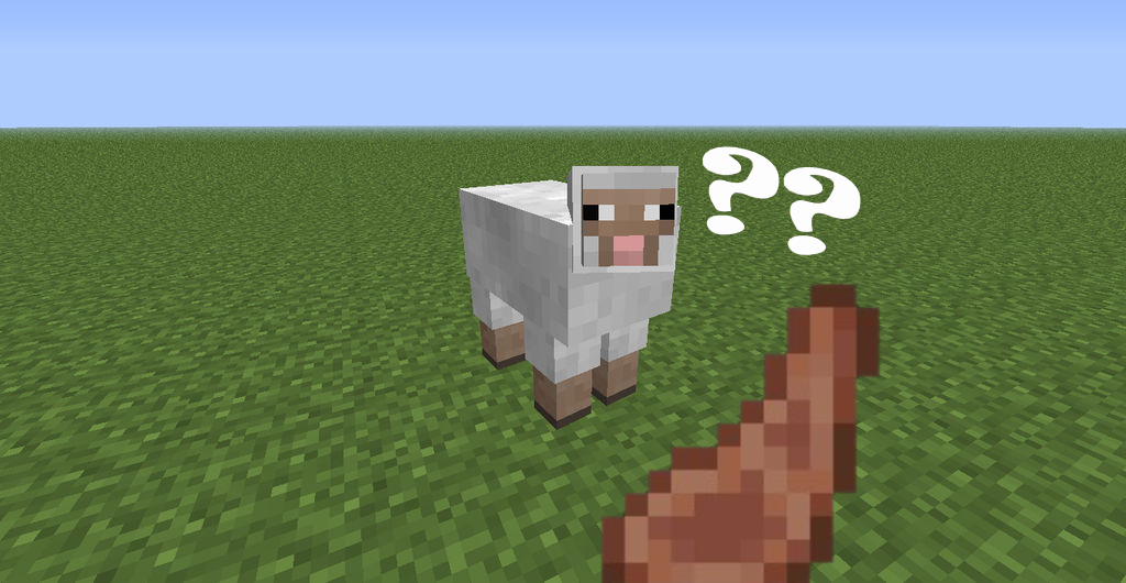 About Yummysheep Studio