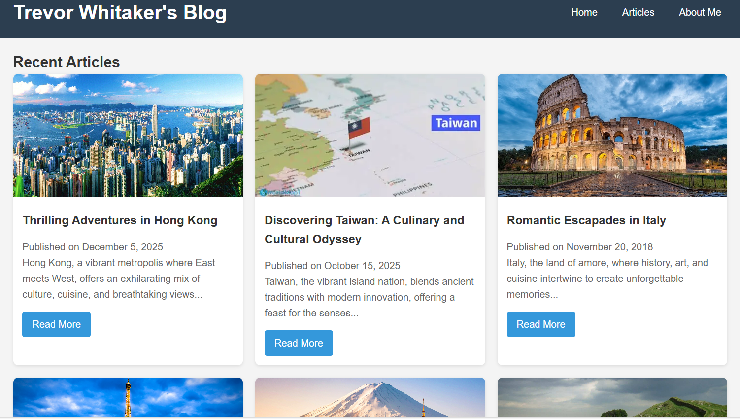 Traveller Blogger Website Screenshot